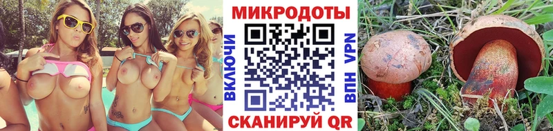 Галлюциногенные грибы Psilocybine cubensis mega как зайти Хотьково где купить наркоту